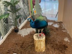 -万达广场(南京江宁店)