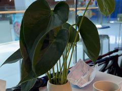 -眉州东坡(华联万柳店)