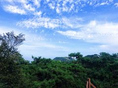 -沂蒙山旅游区云蒙景区(蒙山国家森林公园)