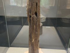 -广东中医药博物馆