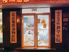 -北京观赏动物医院·24小时大型综合·猫专科·异宠专科