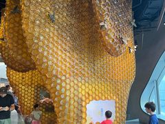 -美国自然历史博物馆