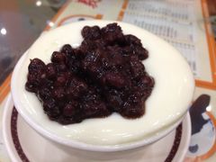 -义顺牛奶公司(新马路老店)