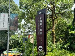 -铁山坪森林公园