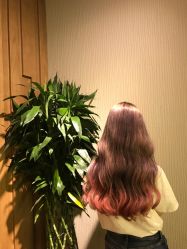 -木北造型