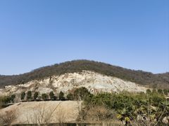 -金钉子远古世界景区
