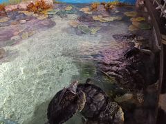 -福州罗源湾海洋世界旅游区