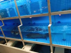 -聚丰园•湖鲜餐厅(阿红私房菜梅石路店)