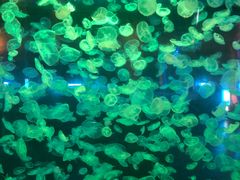 -华夏文旅西安度假区