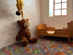 -金山农民画村-枫泾波兰倒置屋