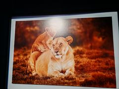 -罗红摄影艺术馆