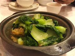 菜心面筋煲-永兴餐厅(复兴中路店)