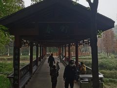 -重庆彩云湖湿地公园