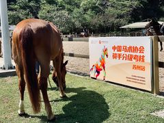 -枫露马术学院(藏书校区)