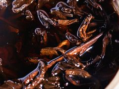 -七彩云南茶(七彩云南第壹城店)