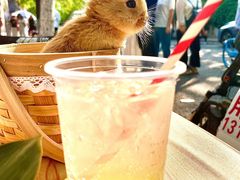 -大象厨房(重庆道店)