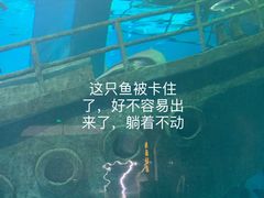 -福州罗源湾海洋世界旅游区