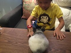 -藦茜花园宠物主题亲子互动体验馆(国顺东路店)