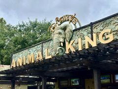 -奥兰多迪士尼动物王国乐园