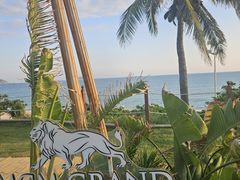 -池畔烧烤自助·海鲜·M秀演出(美高梅度假酒店)