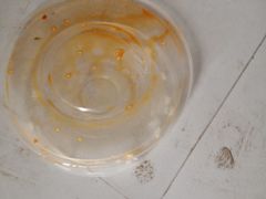 -川魂帽牌货冒菜(月东街店)