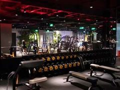 -威尔仕健身·游泳(KING88店)