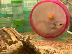 -龙猫仔乐园(惠福东路店)