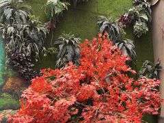 -木子塘汗蒸生活馆(财富港店)