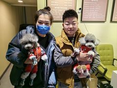 -派多格宠物(御景湾店)