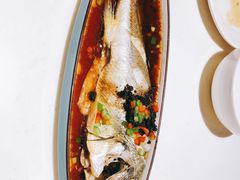 豉汁/冬菜蒸黄花鱼（条）-火齐潮汕砂锅粥(五道口店)