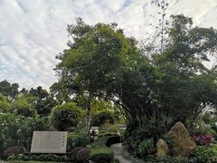 -晓港公园