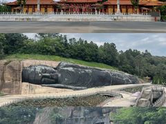 -三水森林公园