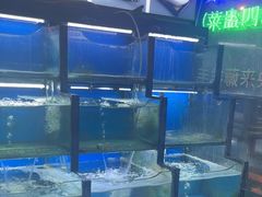 -老东镇啤酒屋海鲜加工·蒸汽海鲜·海鲜烧烤(台东店)