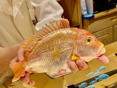 -镹·鱼料理  国产鱼使用店