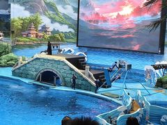 -海合安成都极地海洋公园