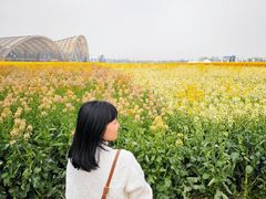 -中国天府农业博览园