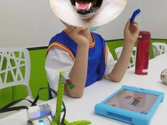 -童程童美·信息学竞赛·机器人编程·少儿编程(大钟寺校区)