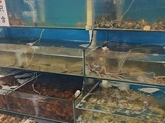 -仙螺岛海鲜自助餐厅(总店)