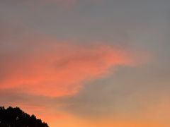 -金鸡湖桃花岛