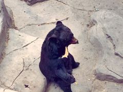 -石家庄市动物园