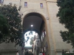 -武汉大学-樱园