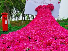 -春花秋色城市公园