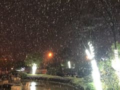 -随州碧桂园凤悦凤凰酒店