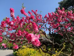 -国家植物园