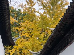 -西园戒幢律寺