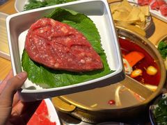 -东道煮牛肉火锅(东盛大街店)