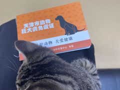 -瑞派天宁宠物医院·猫科·异宠中心