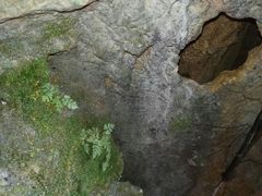 -巴马水晶宫