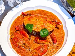 -狮拾久·现代新加坡料理(福田COCO Park店)