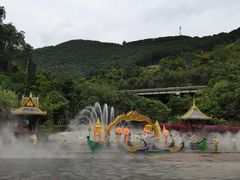 -西双版纳原始森林公园